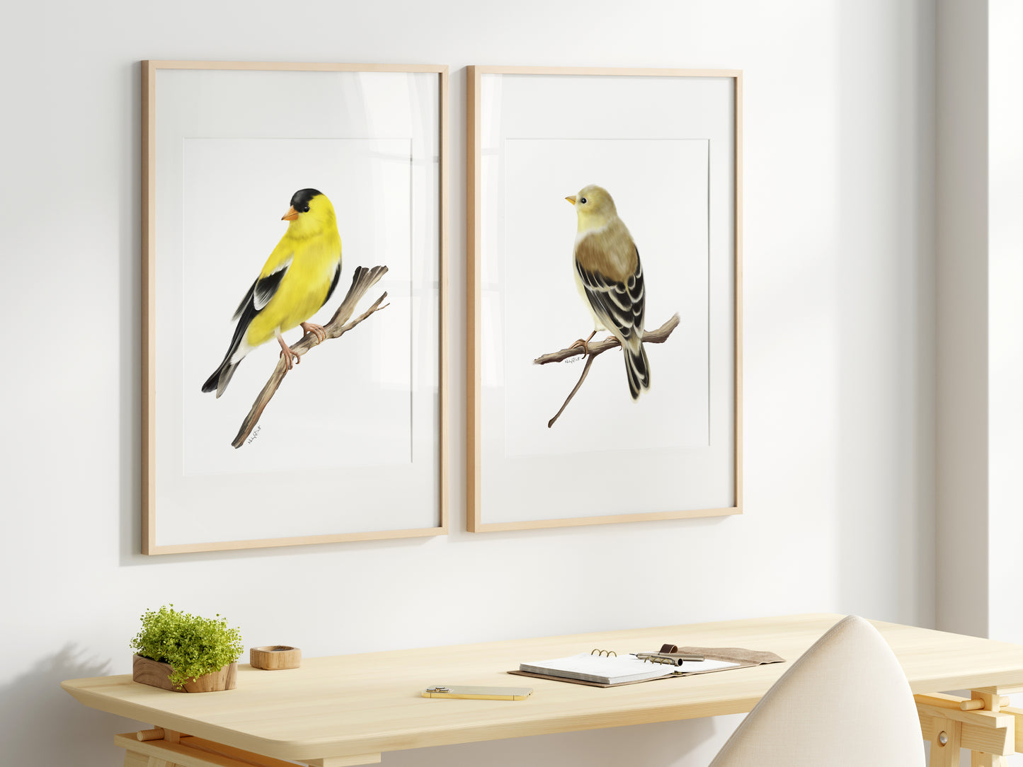 American Goldfinch Bird Art Prints - Set of 2- Studio Q - Art by Nicky Quartermaine Scott