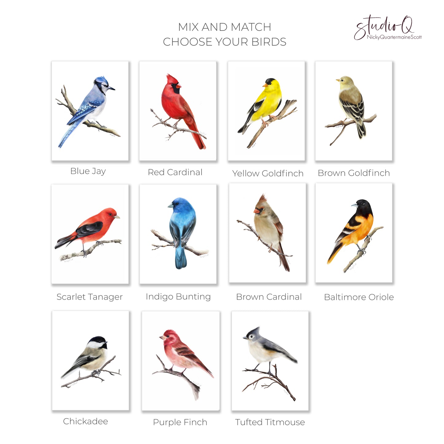 Backyard Bird Art Prints - Set of 4 - Studio Q - Art by Nicky Quartermaine Scott