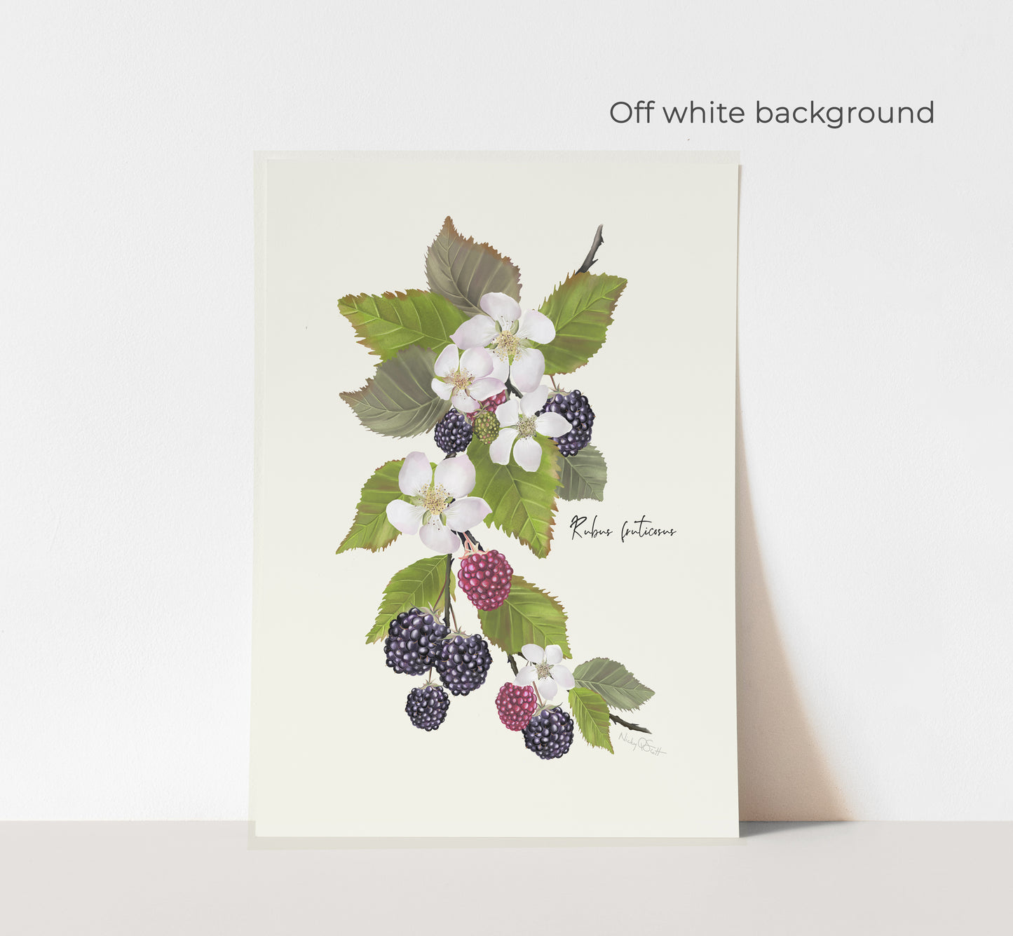 Blackberries Flower Art Print