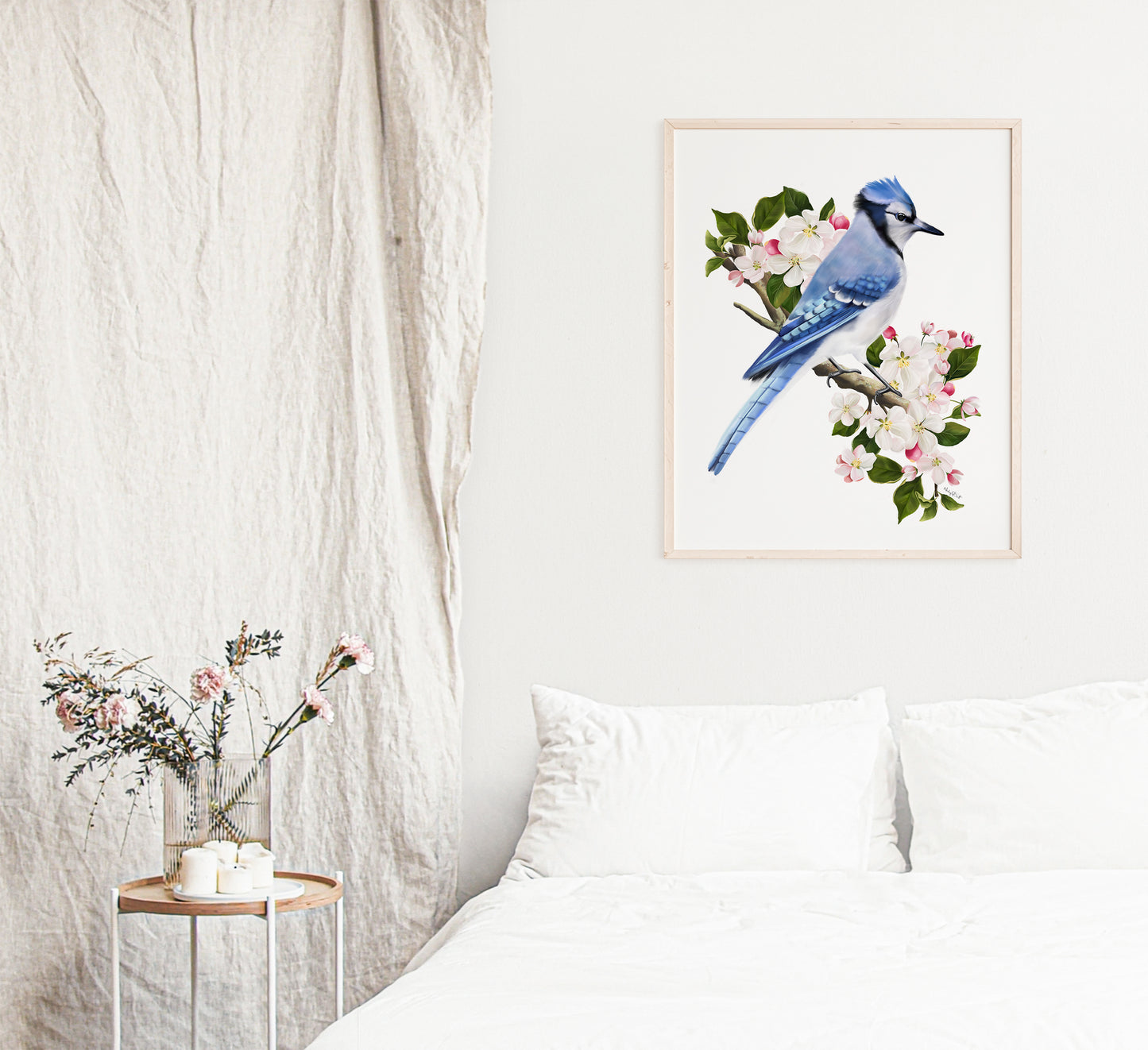 Blue Jay Bird on Apple Blossom Branch Art Print - Studio Q - Art by Nicky Quartermaine Scott