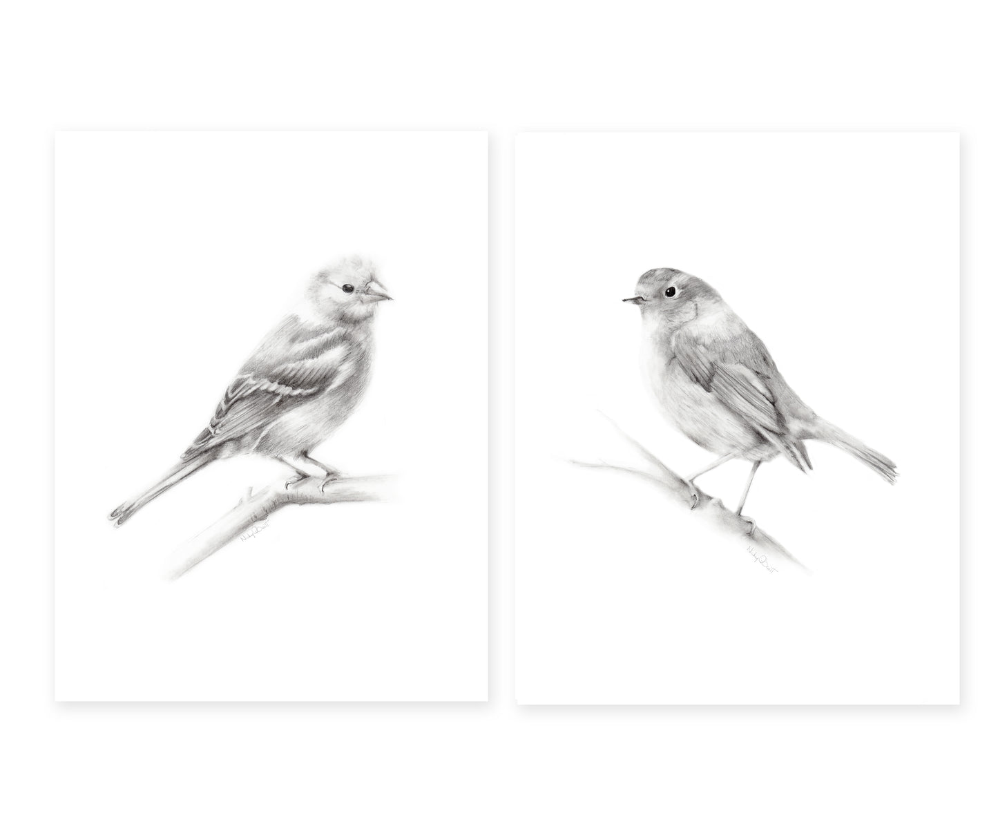 Bird Pencil Drawings - Set of 2
