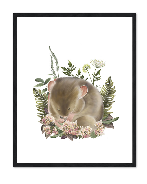 Bramble Mouse Art Print- Studio Q - Art by Nicky Quartermaine Scott