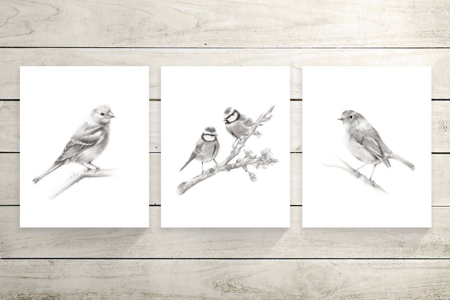 Grey Bird Art Prints - Set of 3 - Studio Q - Art by Nicky Quartermaine Scott