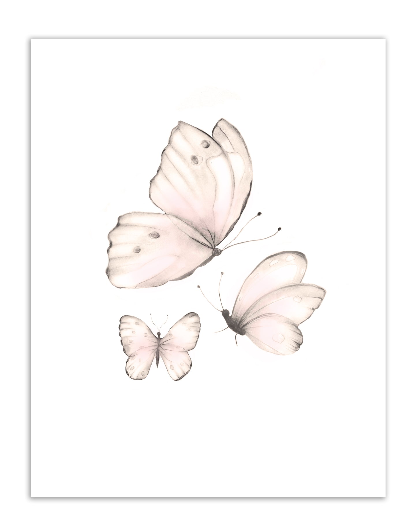 Butterflies Nursery Prints - Sweet Blush - Set of 2- Studio Q - Art by Nicky Quartermaine Scott