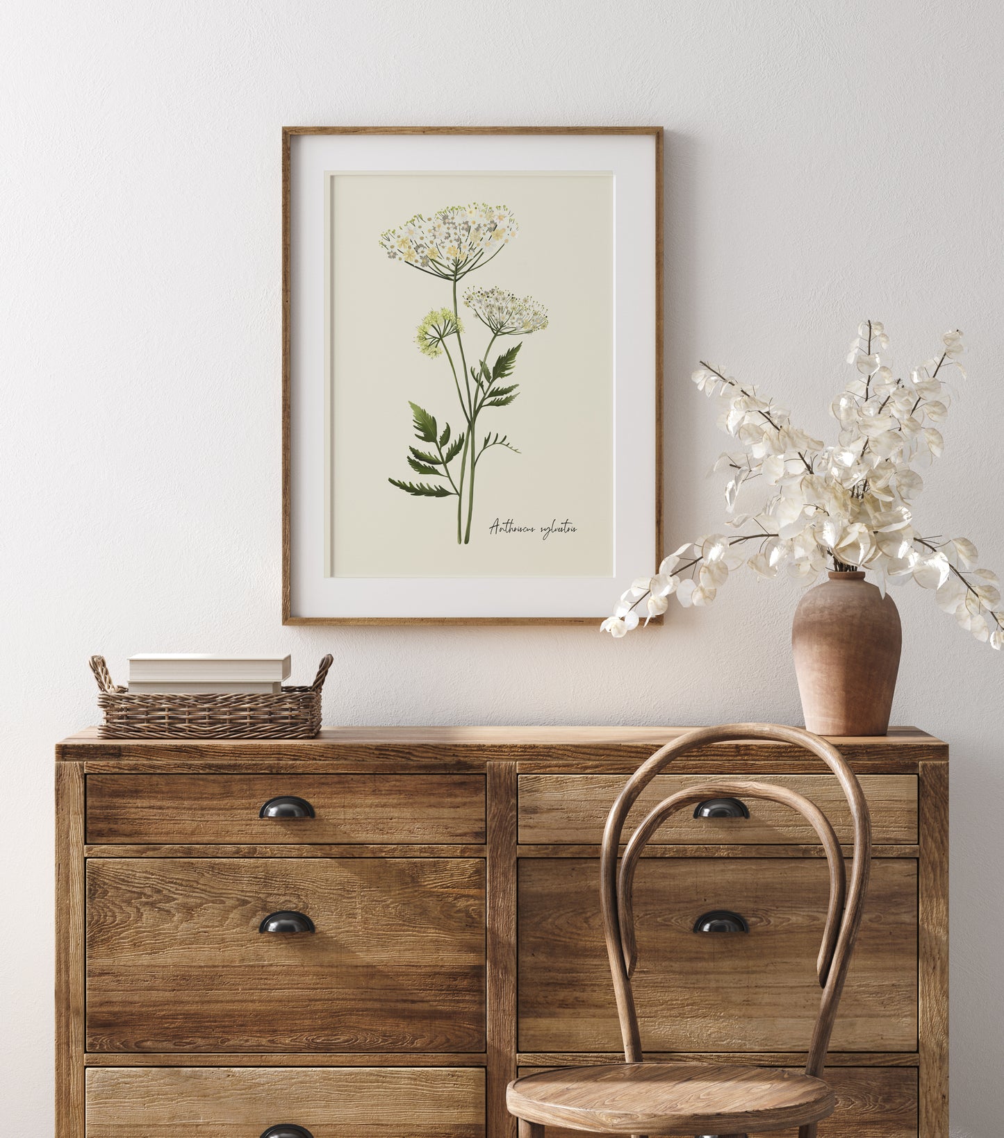 Cow Parsley Flower Art Print - Studio Q - Art by Nicky Quartermaine Scott