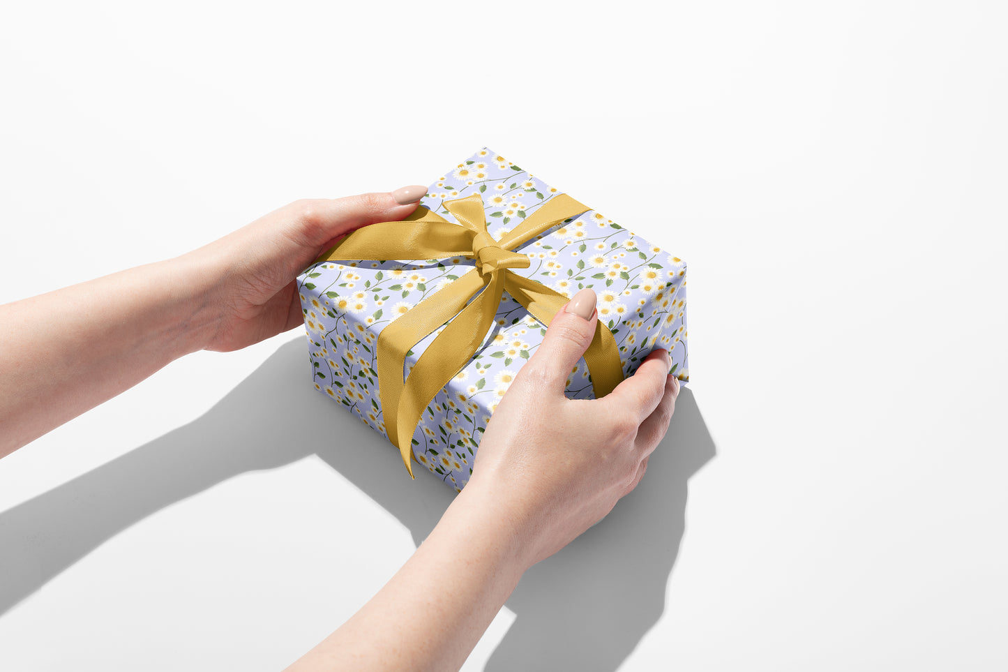 Daisy Blue Wrapping Paper- Studio Q - Art by Nicky Quartermaine Scott