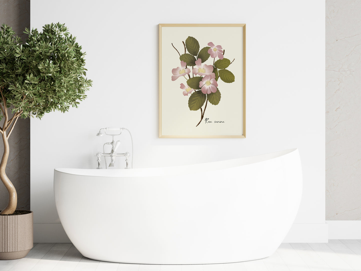 Dog Rose Flower Art Print - Studio Q - Art by Nicky Quartermaine Scott