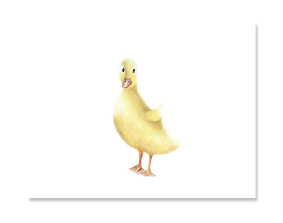 Duckling Nursery Art Print - Studio Q - Art by Nicky Quartermaine Scott