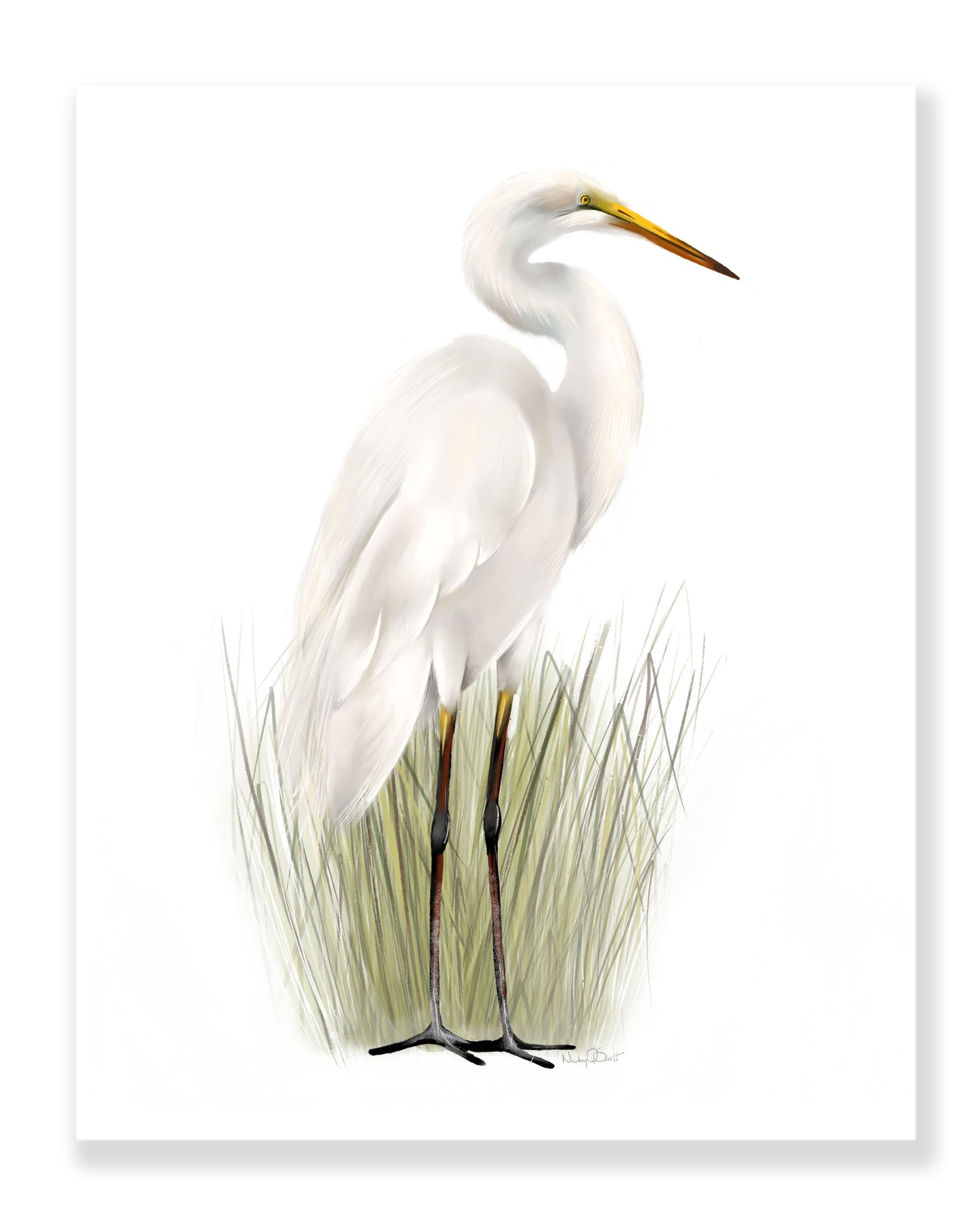 Great Egret in Grasses Bird Art Print 2 - Studio Q - Art by Nicky Quartermaine Scott