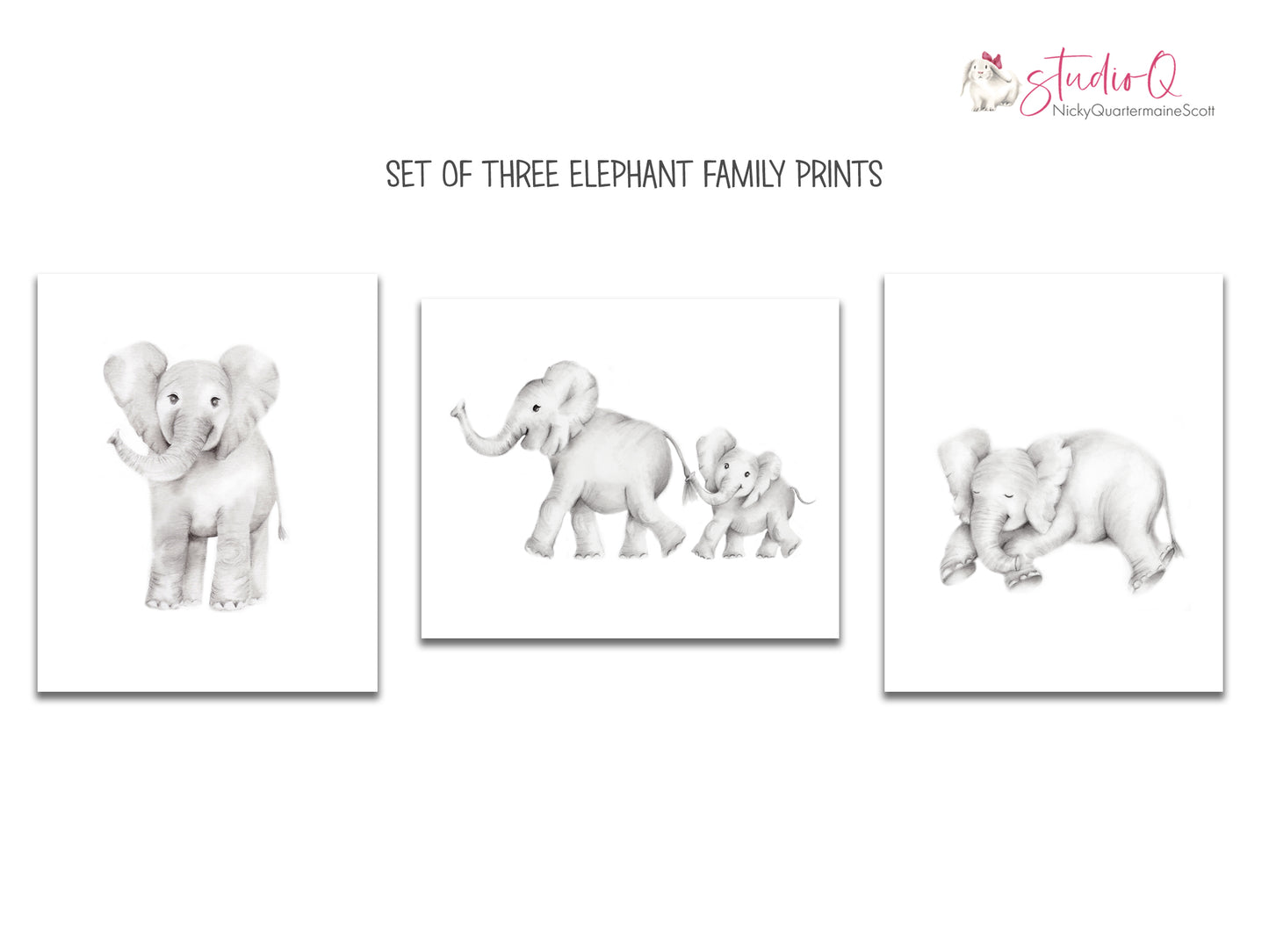 Baby Elephants Art Print - Set of 3- Studio Q - Art by Nicky Quartermaine Scott