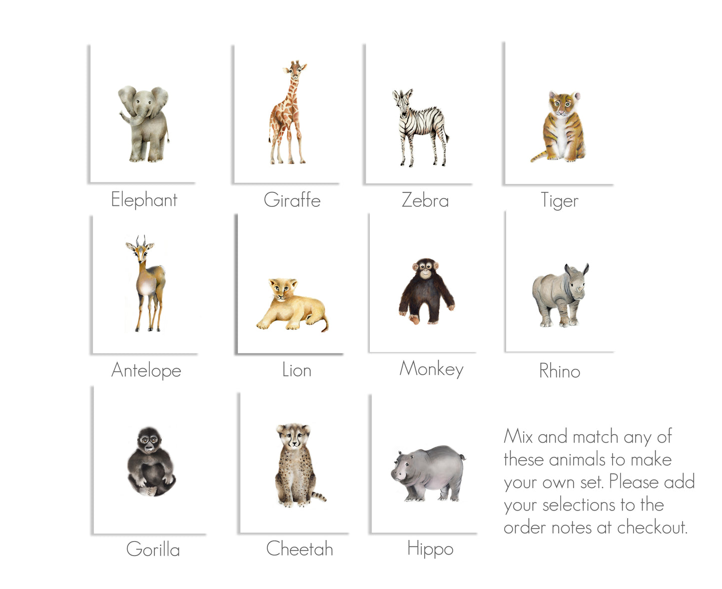 Safari Nursery Art Set of 4 Prints - Studio Q - Art by Nicky Quartermaine Scott