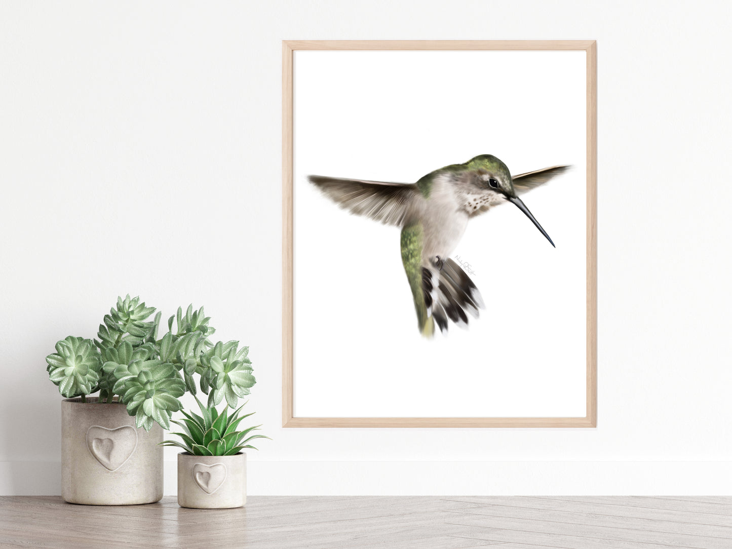 Female hummingbird painting on a white background - Studio Q - Art by NIcky Quartermaine Scott