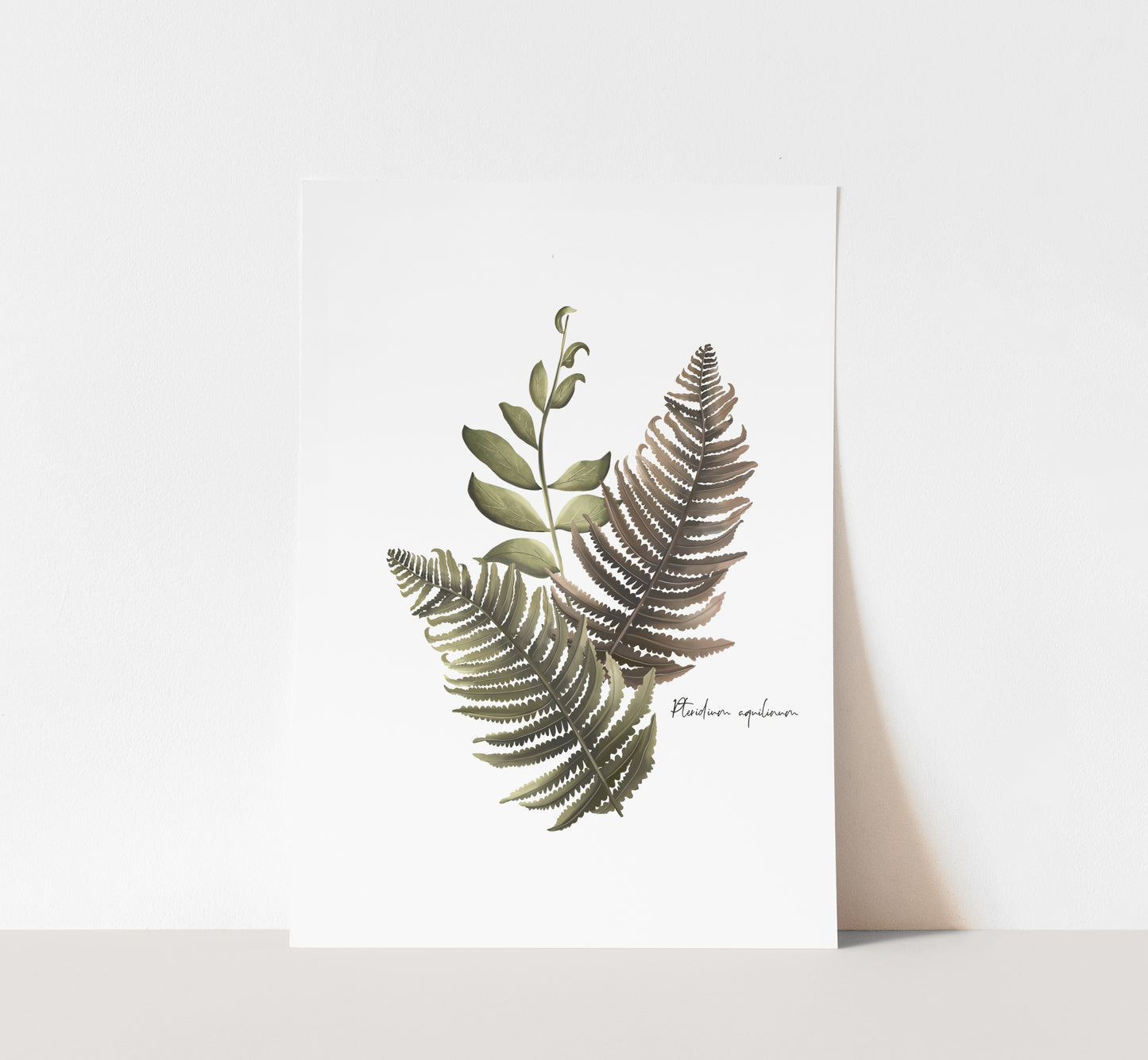 Fern Arrangement Wall Art Print - Studio Q - Art by Nicky Quartermaine Scott