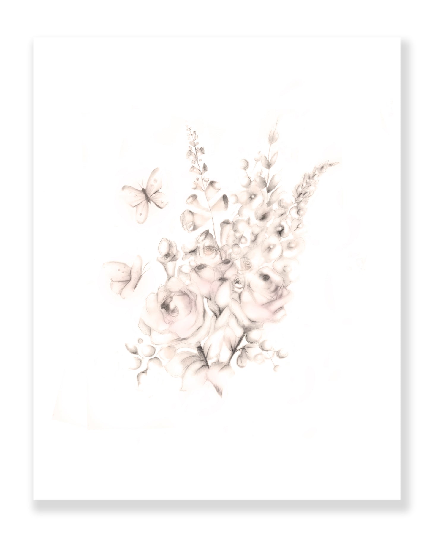 Flower Art Prints 2- Sweet Blush - Studio Q - Art by Nicky Quartermaine Scott