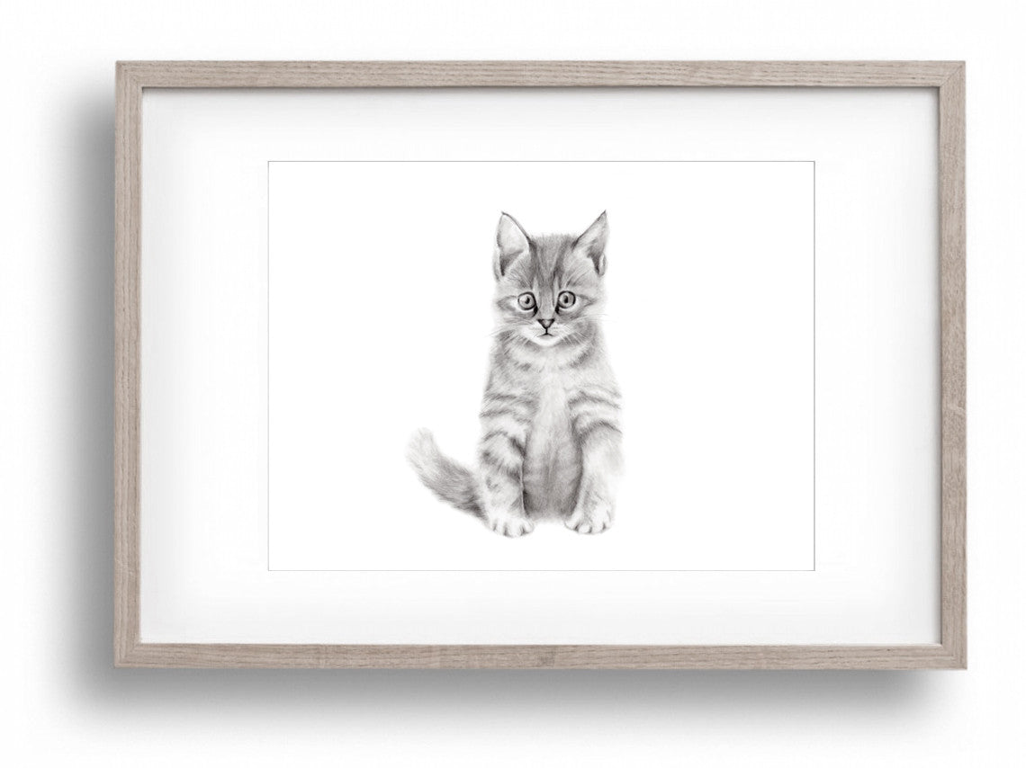 Kitten Pencil Drawing Print - Studio Q - Art by Nicky Quartermaine Scott