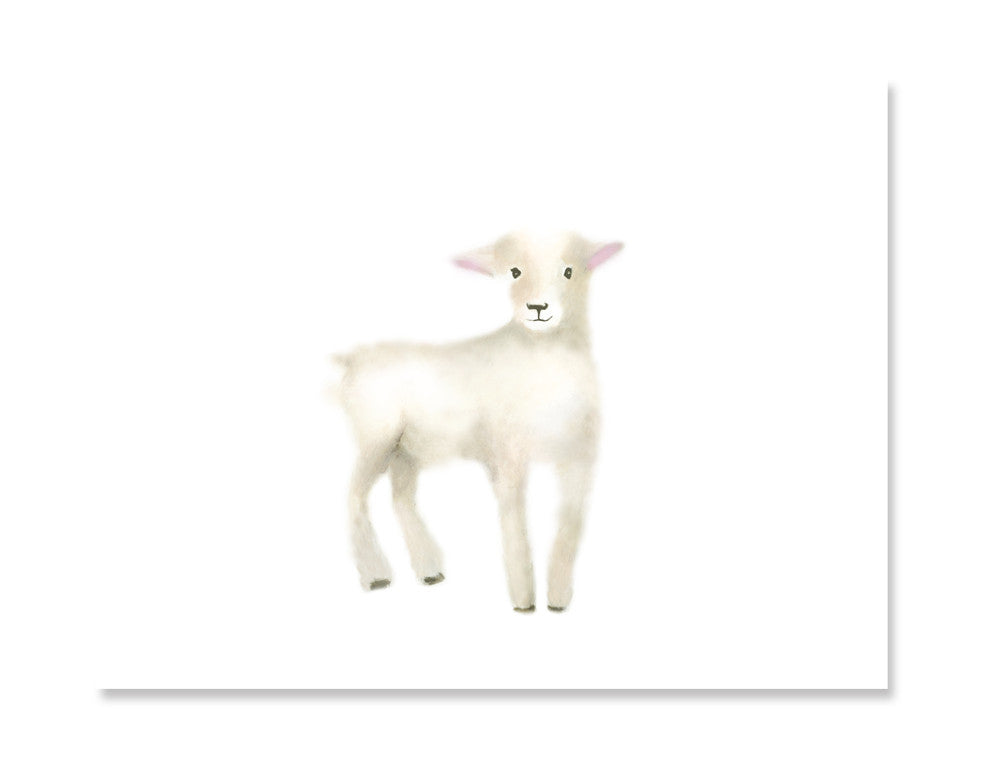 Baby Lamb Art Print 1 - Studio Q - Art by Nicky Quartermaine Scott