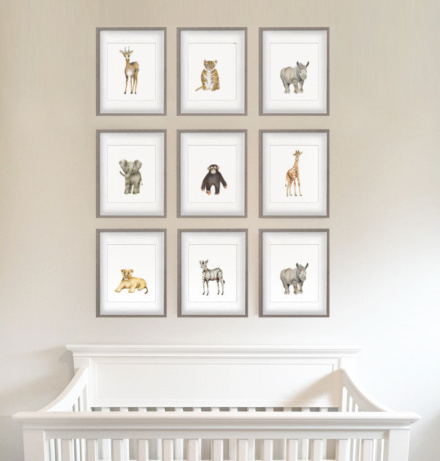 Safari Nursery Art Set of 9 Prints - Studio Q - Art by Nicky Quartermaine Scott