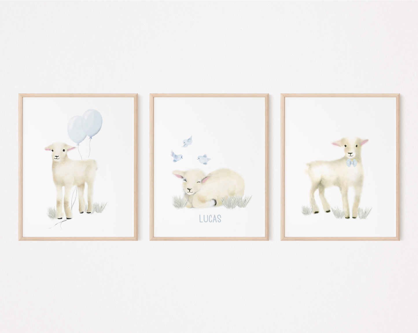 Baby Lambs for Boy - Set of 3 - Studio Q - Art by Nicky Quartermaine Scott