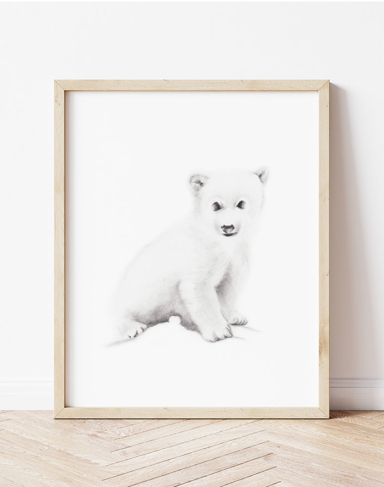 Polar Bear Pencil Drawing Print - Studio Q - Art by Nicky Quartermaine Scott