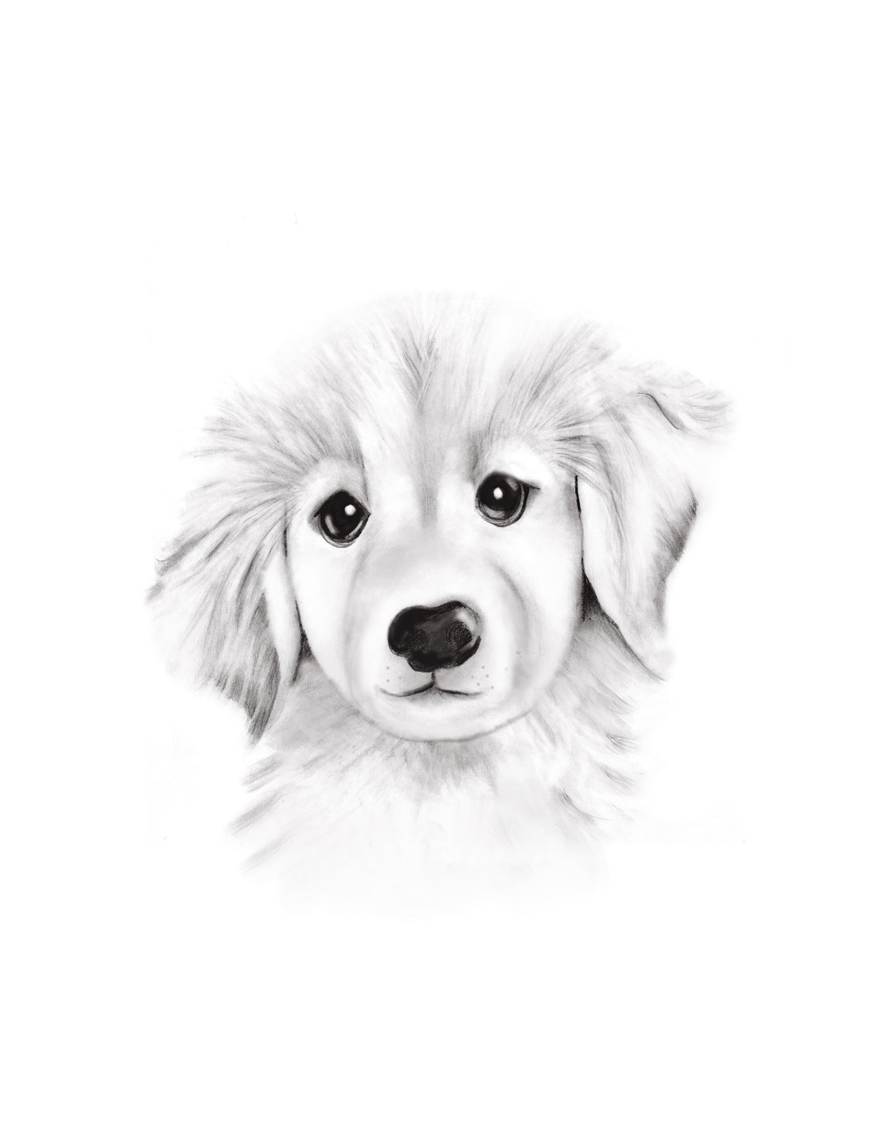 Puppy Sketch Fluffy Face Print - Studio Q - Art by Nicky Quartermaine Scott