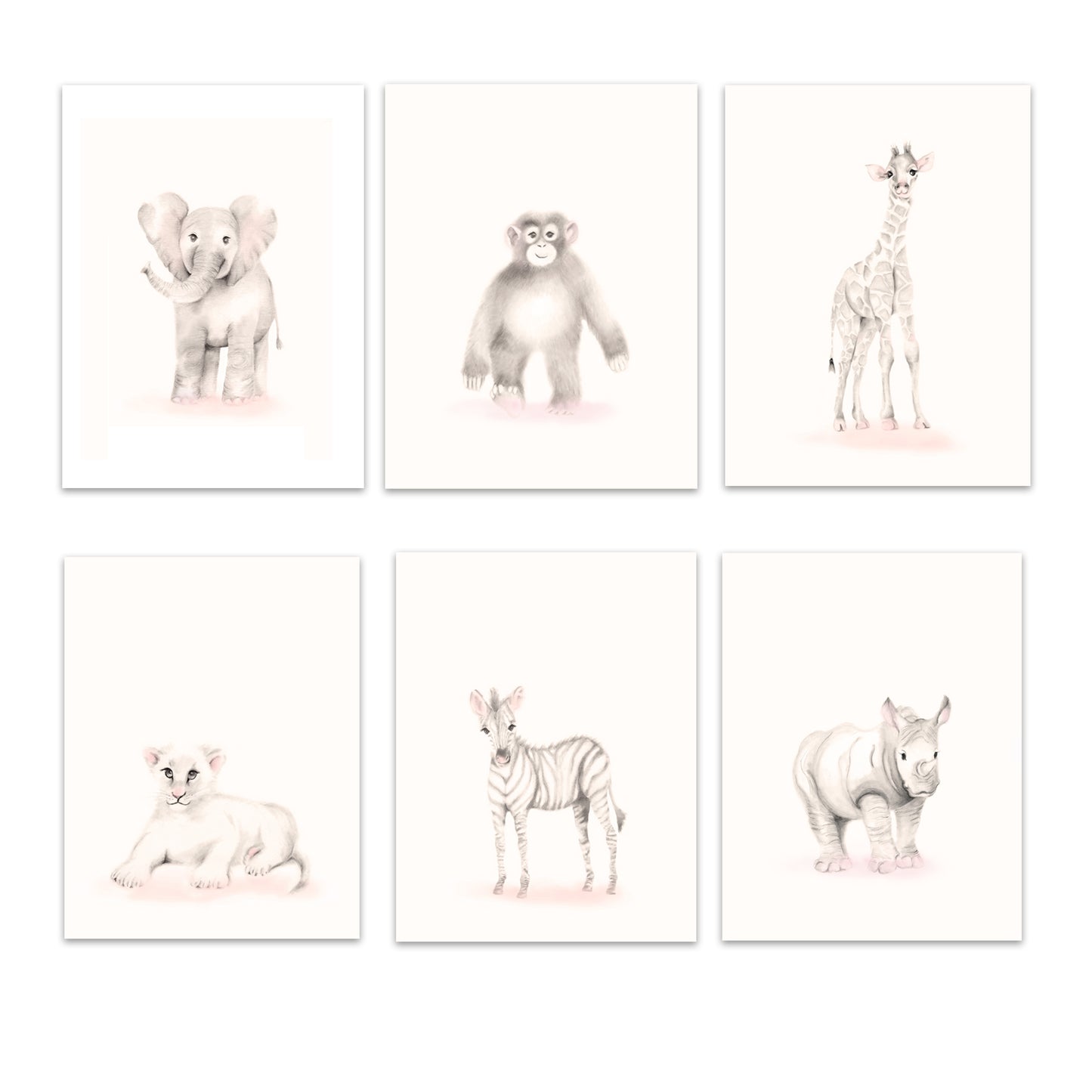 Safari Animal Print Set 6 - Sweet Blush - Studio Q - Art by Nicky Quartermaine Scott