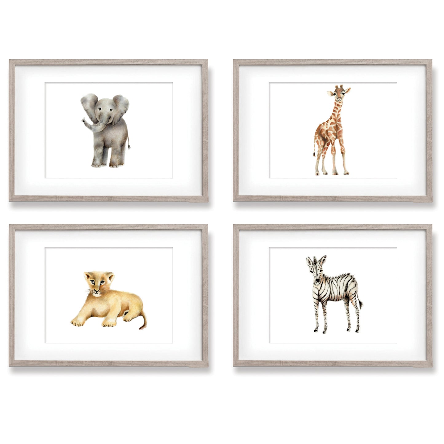 Lion Cub Nursery Art Print - Studio Q - Art by Nicky Quartermaine Scott