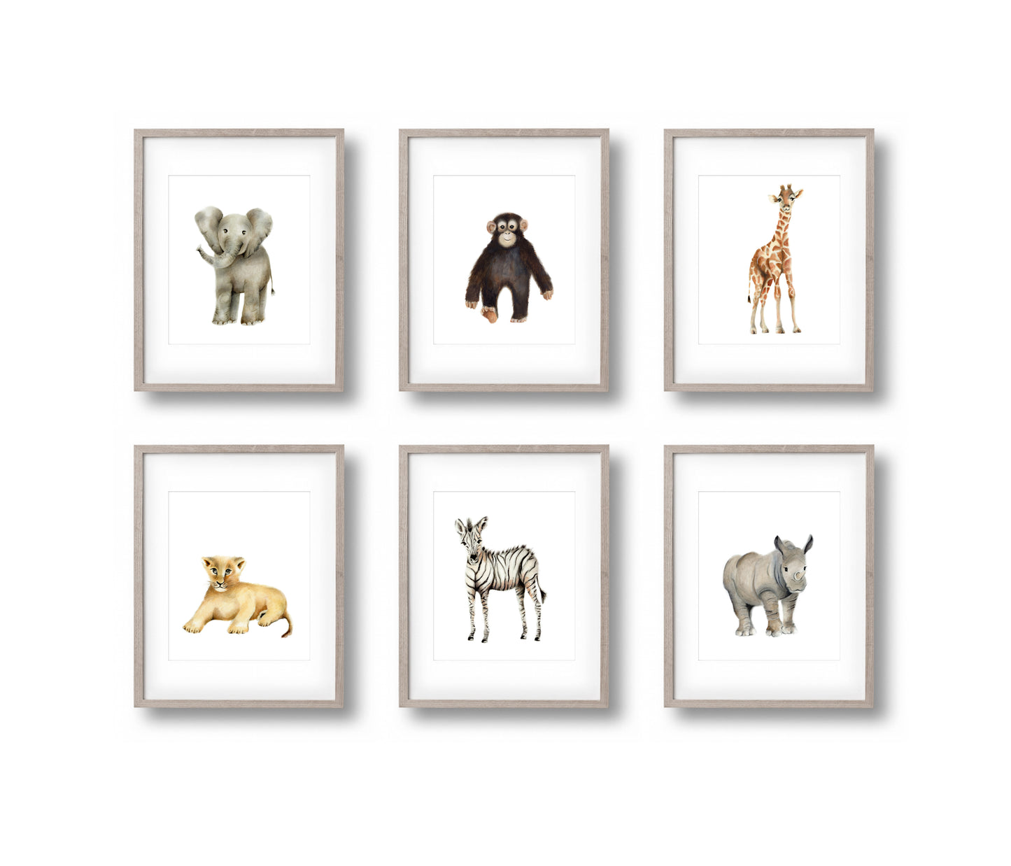 Safari Baby Animal Prints Set 6 - Color - Studio Q - Art by Nicky Quartermaine Scott