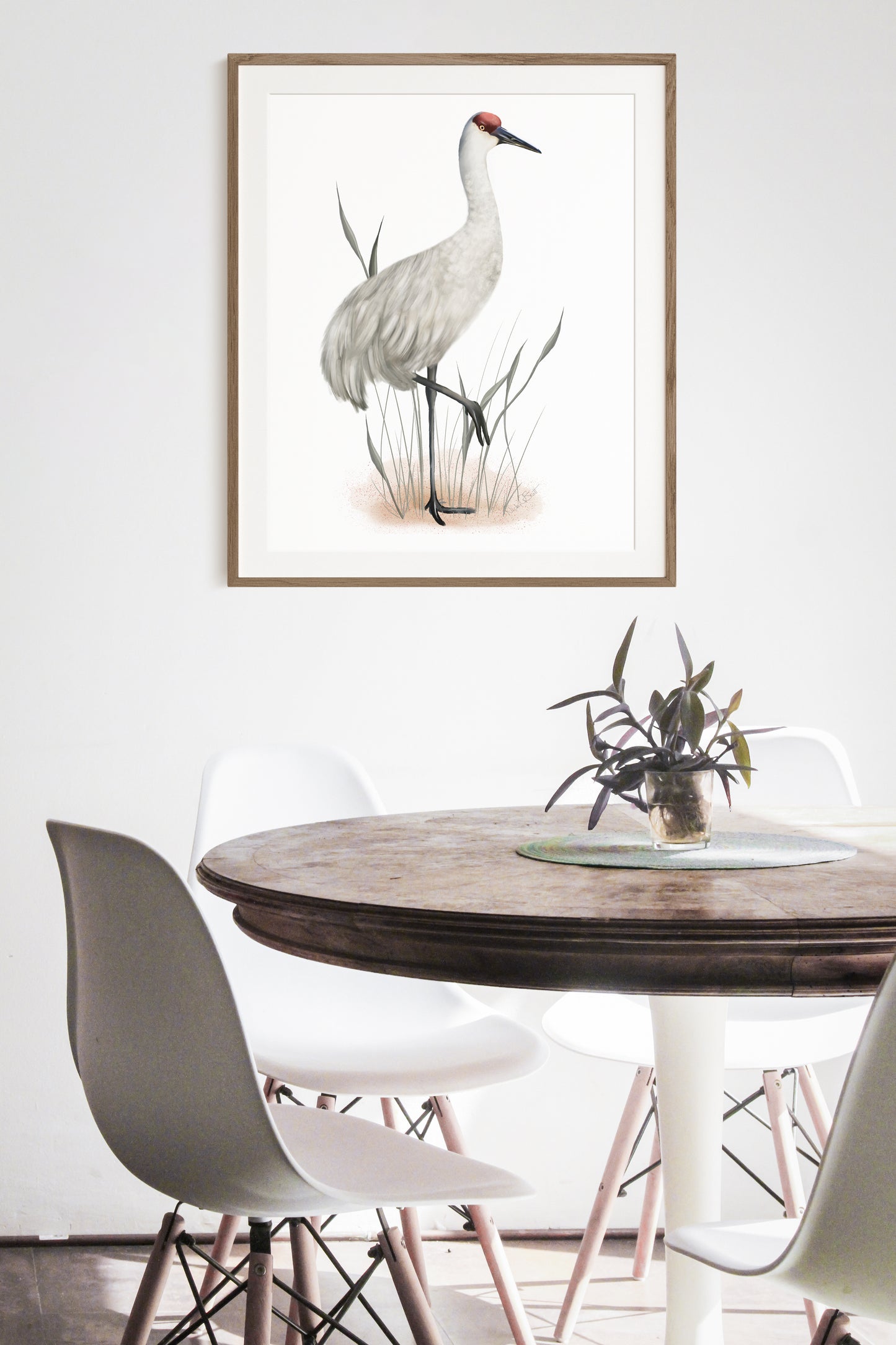 Sandhill Crane Bird Print - Studio Q - Art by Nicky Quartermaine Scott