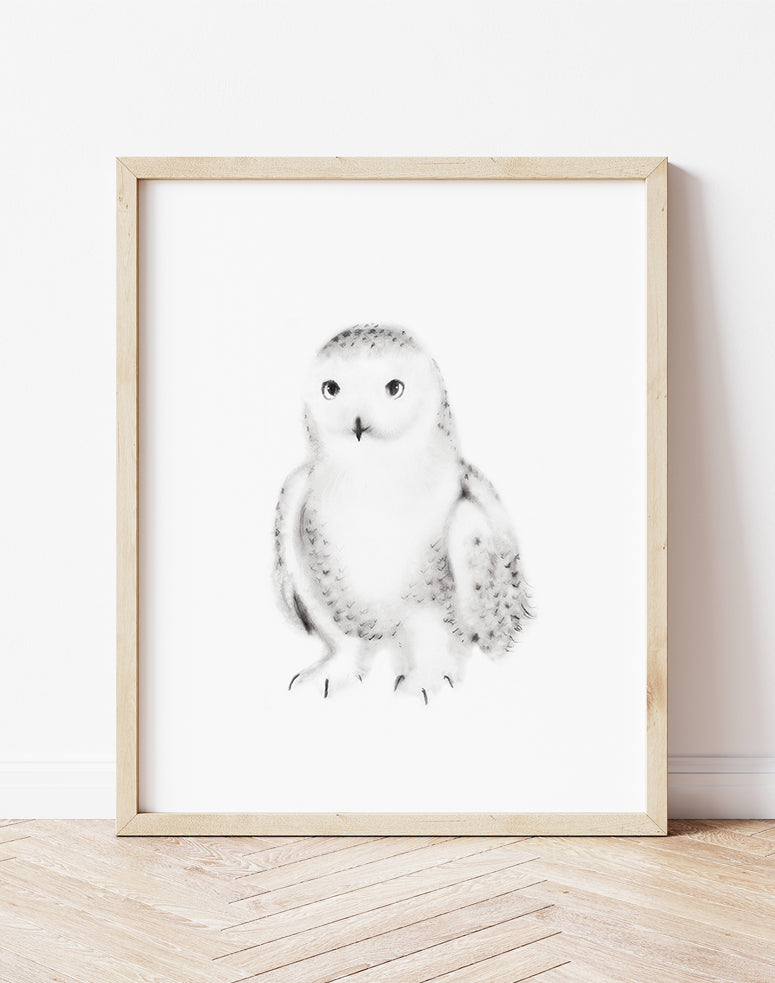 Snowy Owl Pencil Drawing Print - Studio Q - Art by Nicky Quartermaine Scott