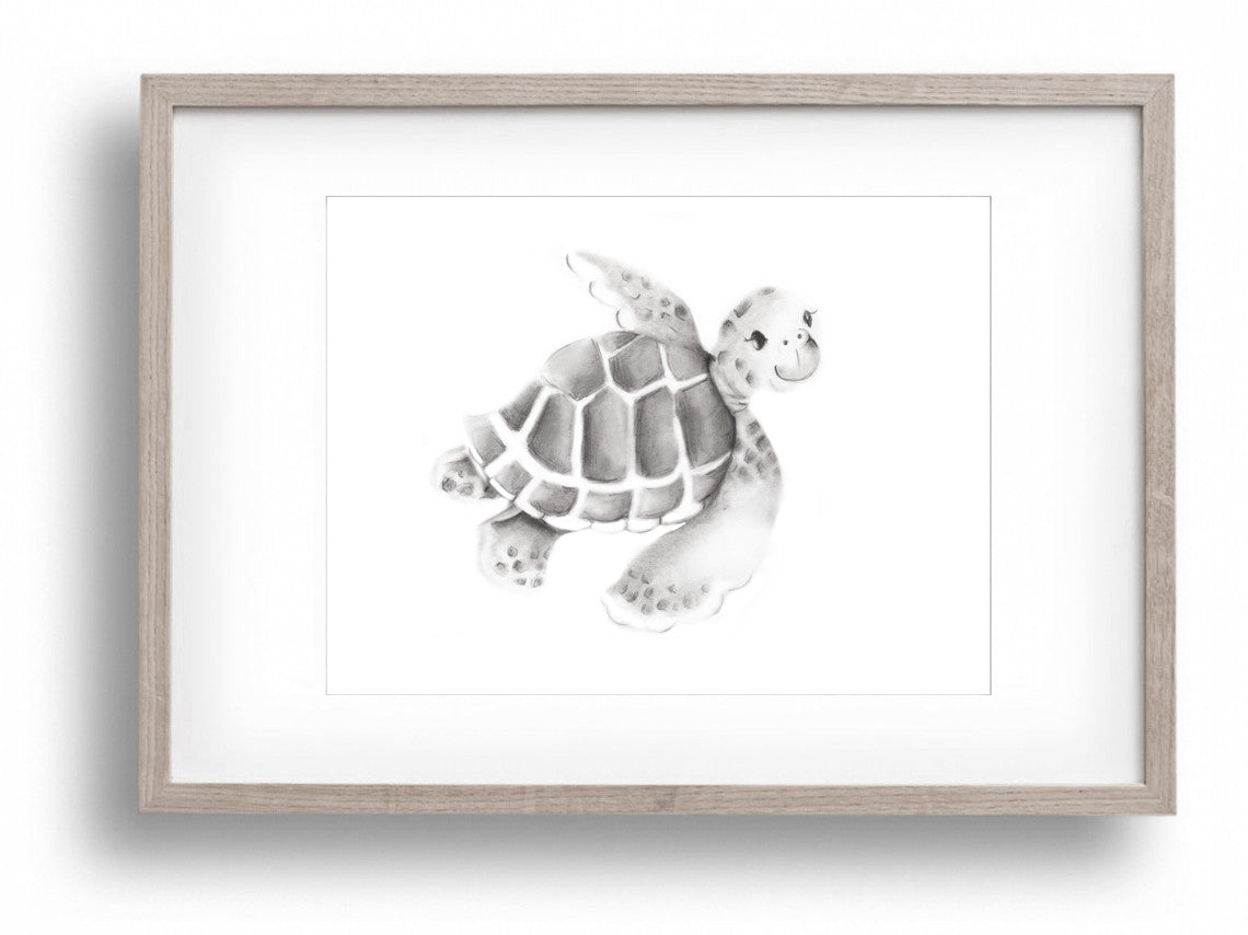 Sea Turtle Pencil Drawing Print - Studio Q - Art by Nicky Quartermaine Scott