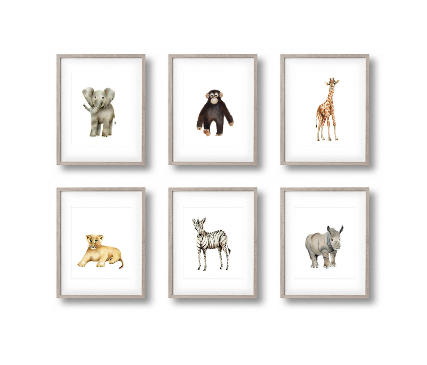 Safari Nursery Art Set of 6 Prints - Studio Q - Art by Nicky Quartermaine Scott
