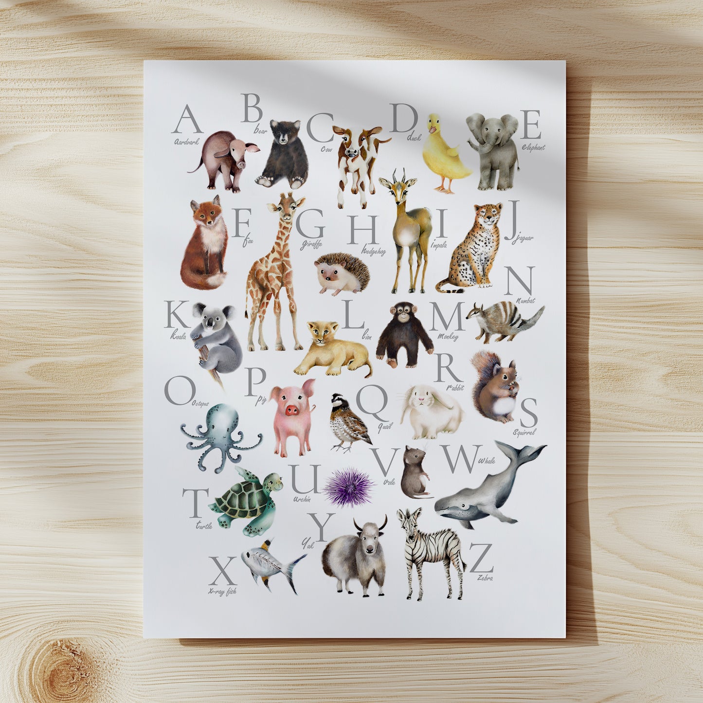 Animal ABC Alphabet Nursery Art - Unframed Print