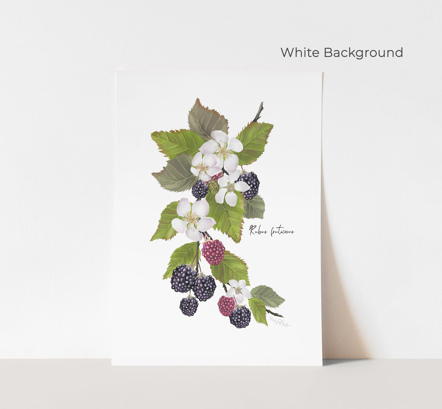 Blackberries Flower Art Print