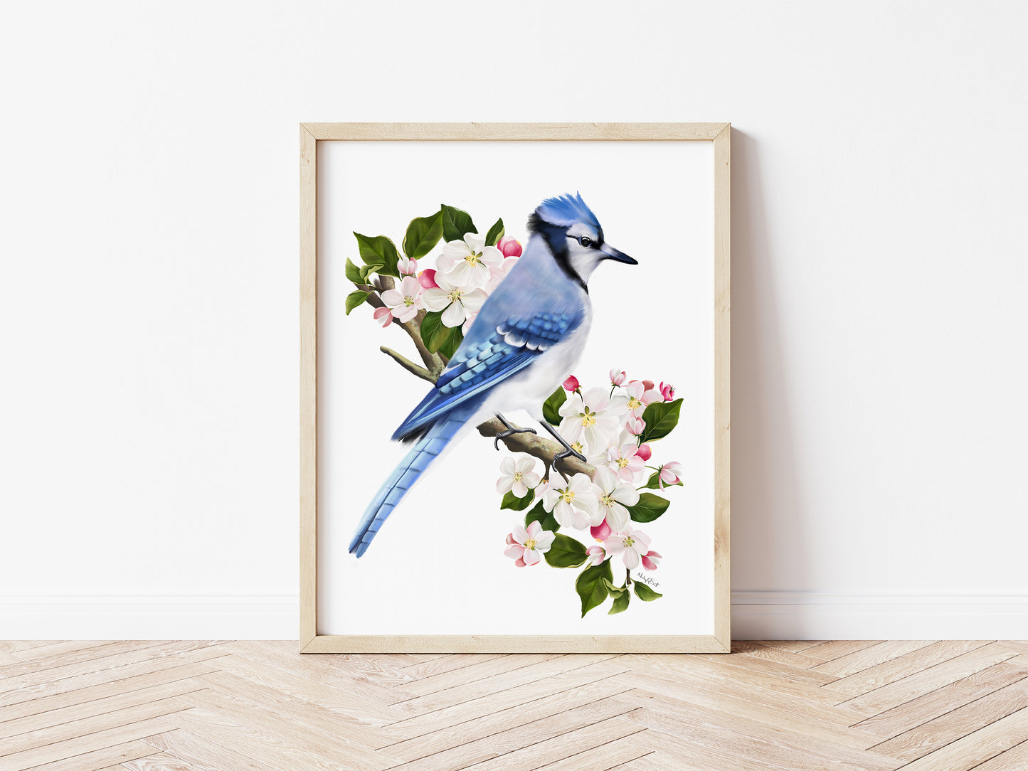 Blue Jay Bird on Apple Blossom Branch Art Print