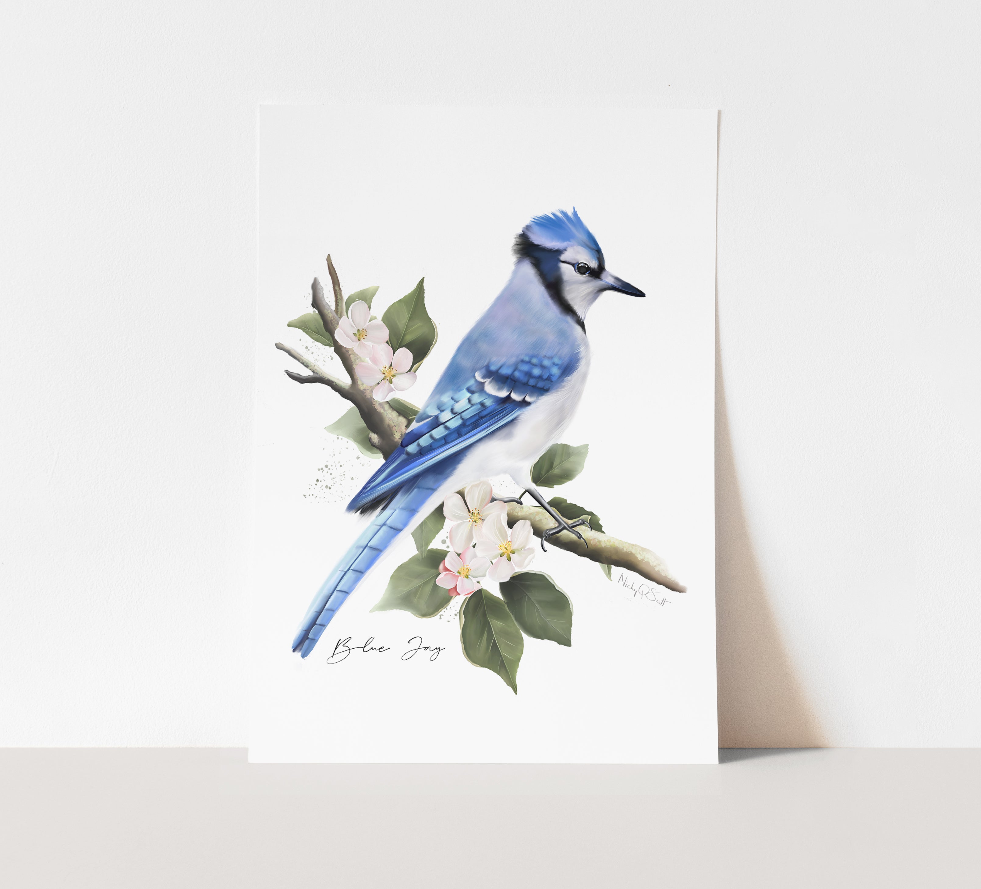Blue Jay Bird Art Print – Studio Q - Art by Nicky Quartermaine Scott