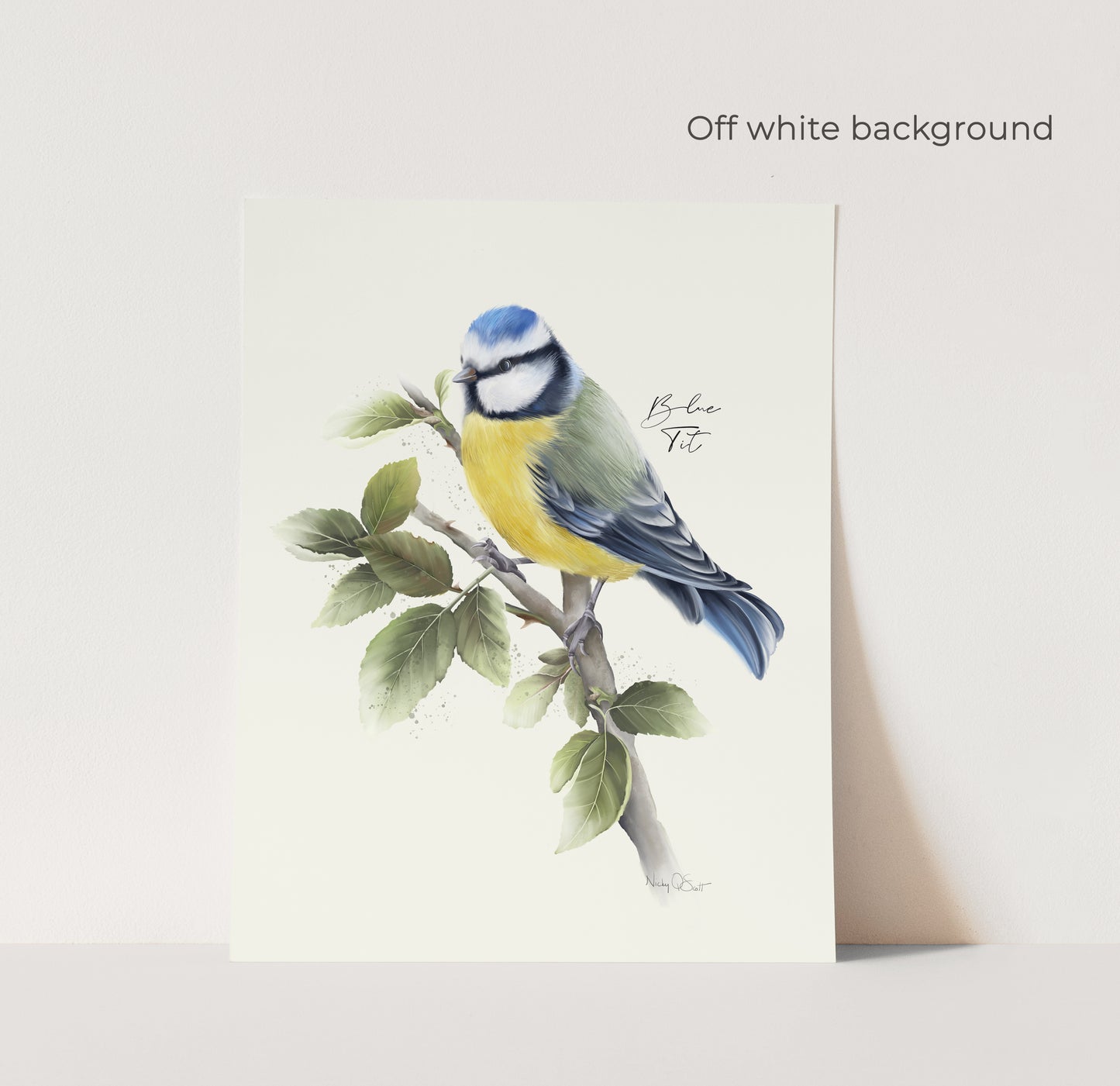 Blue Tit Bird Art Print