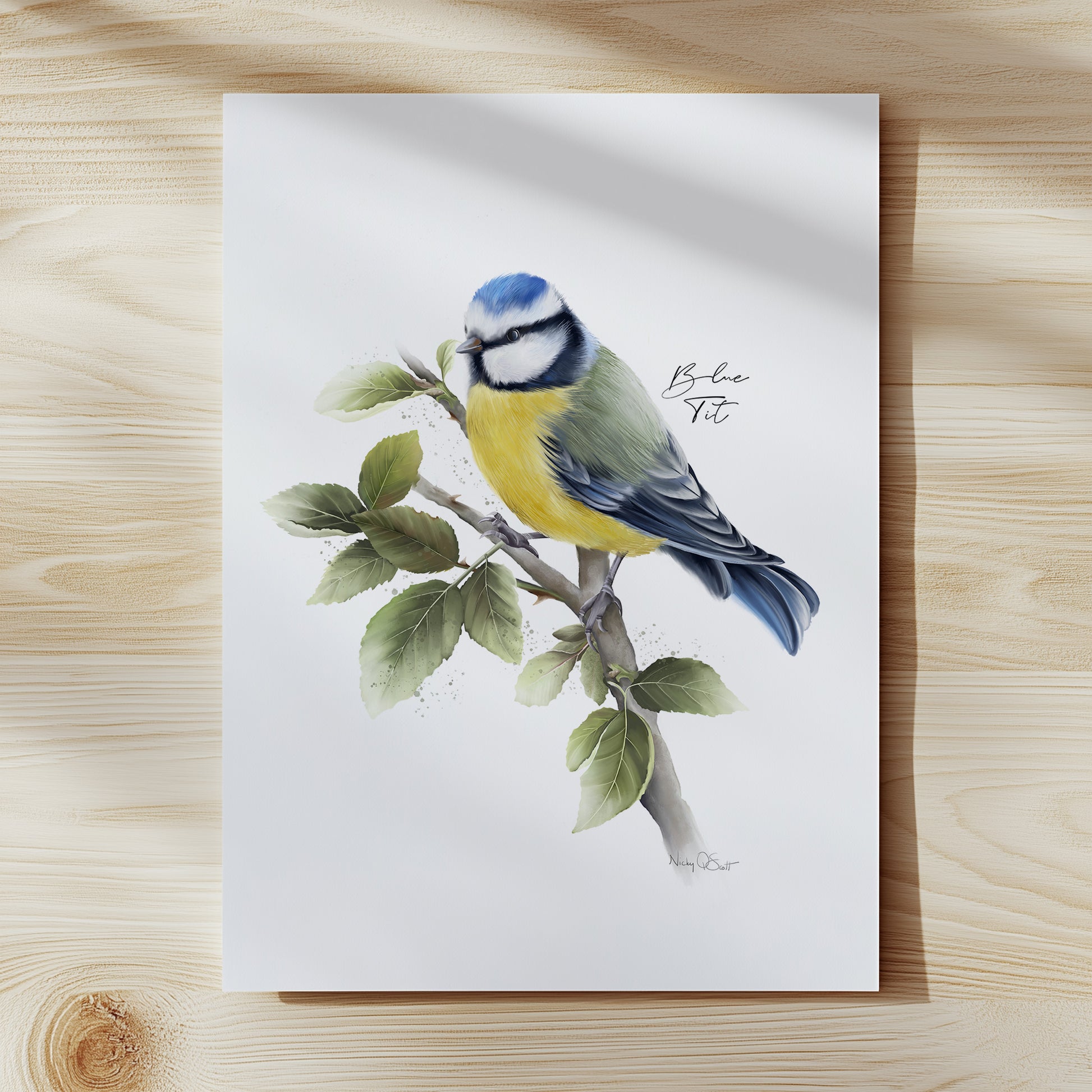 Illustration of a blue tit bird on a branch with leaves, on a white background.