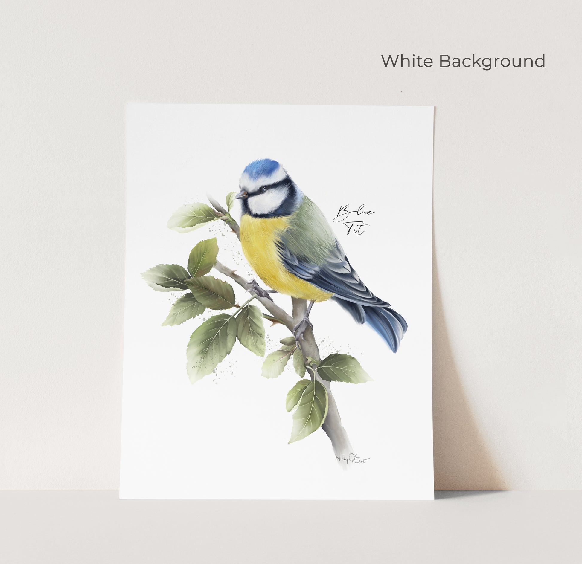 Illustration of a blue tit bird on a branch with leaves against a white background