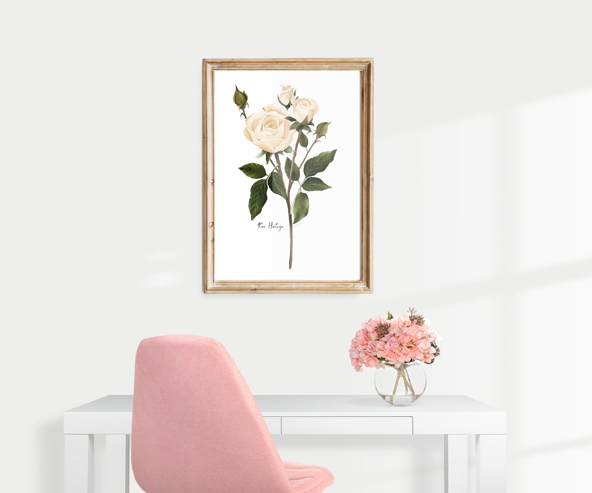 English White Rose Wall Art Print- Studio Q - Art by Nicky Quartermaine Scott