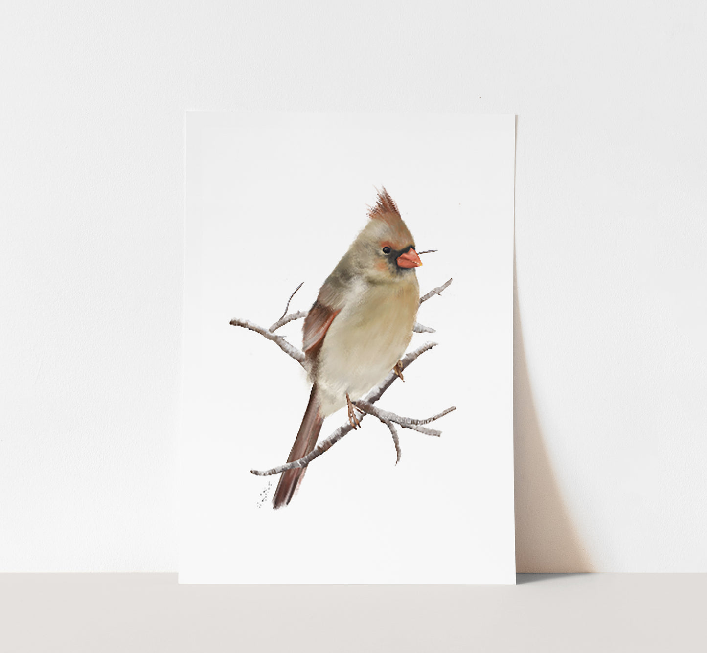 Cardinal Bird Art Print 2- Studio Q - Art by Nicky Quartermaine Scott