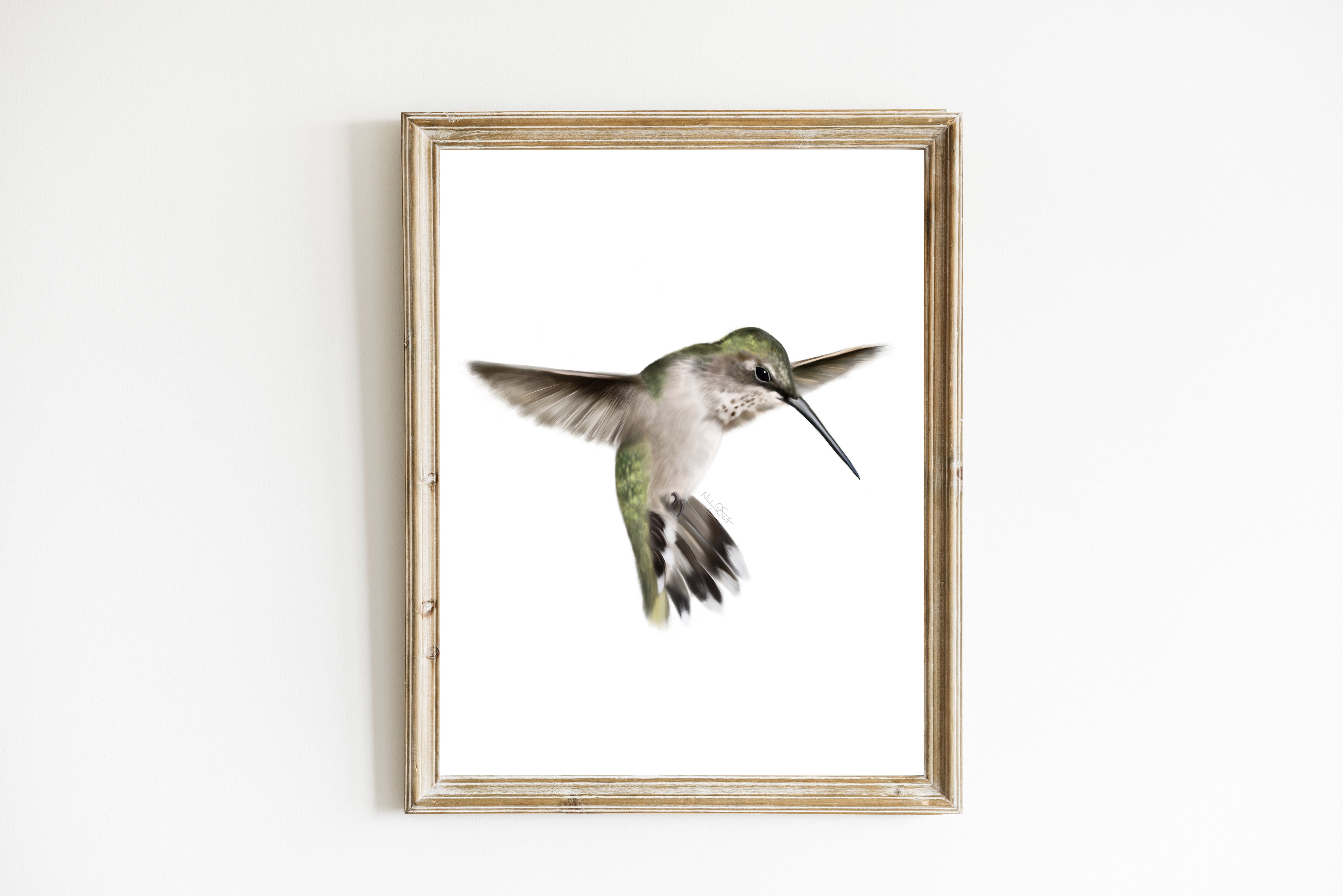 Green Hummingbird Art Print – Studio Q - Art by Nicky Quartermaine