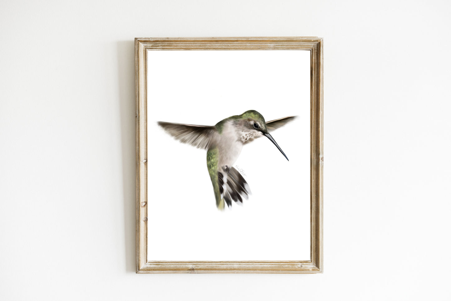 Green Hummingbird Art Print
