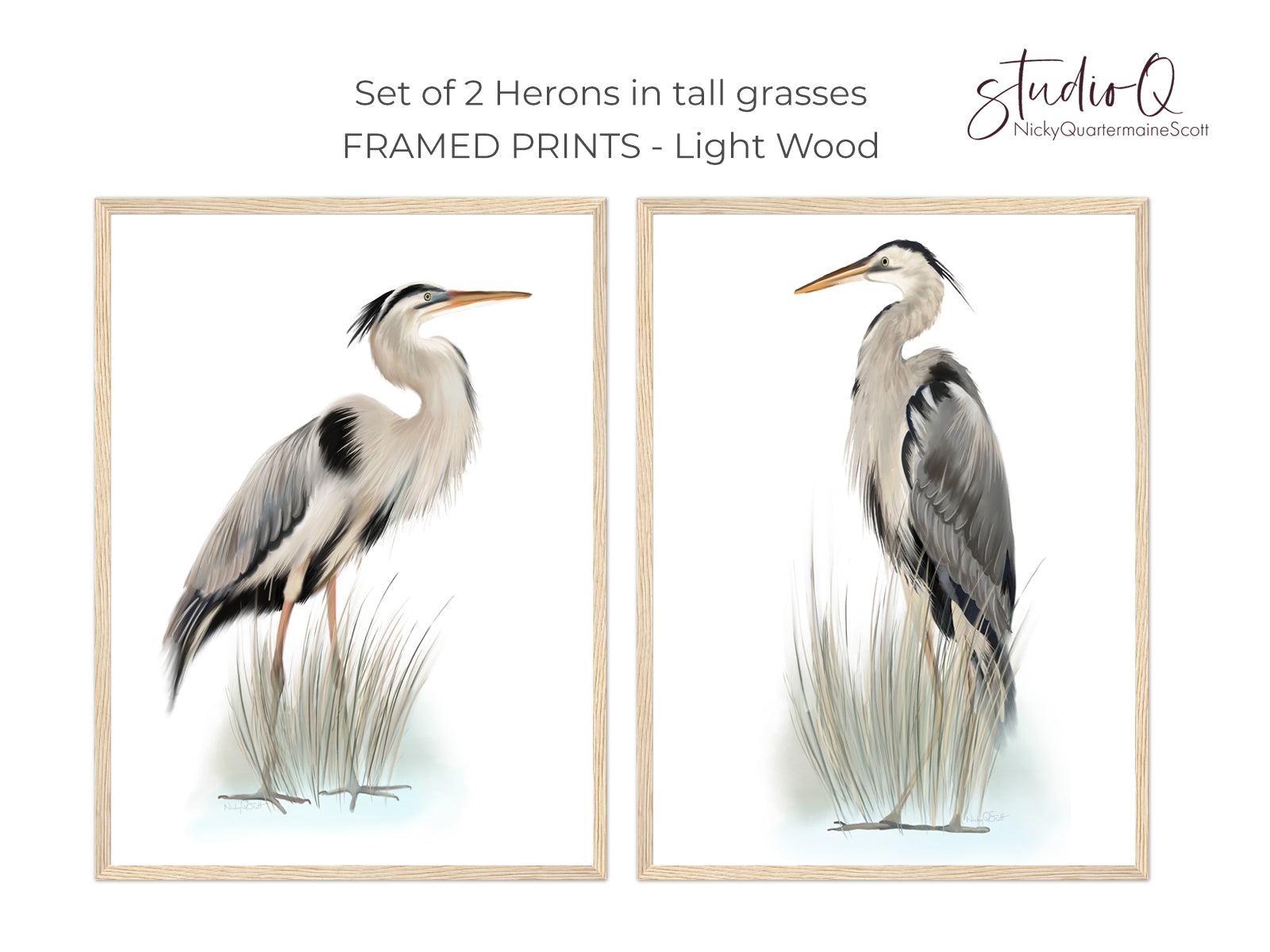 Blue Heron Bird Art Prints - Set of 2 - Studio Q - Art by Nicky Quartermaine Scott