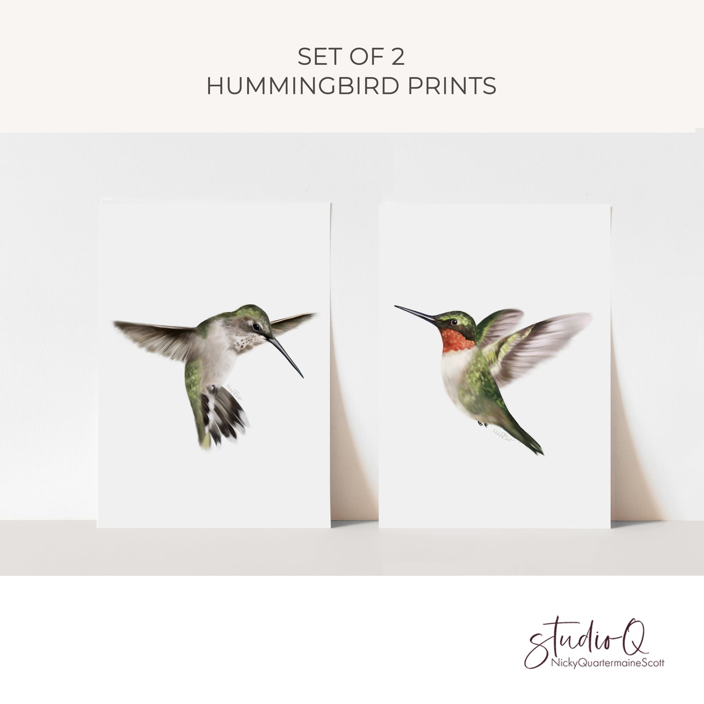 Hummingbird Art Prints - Set of 2