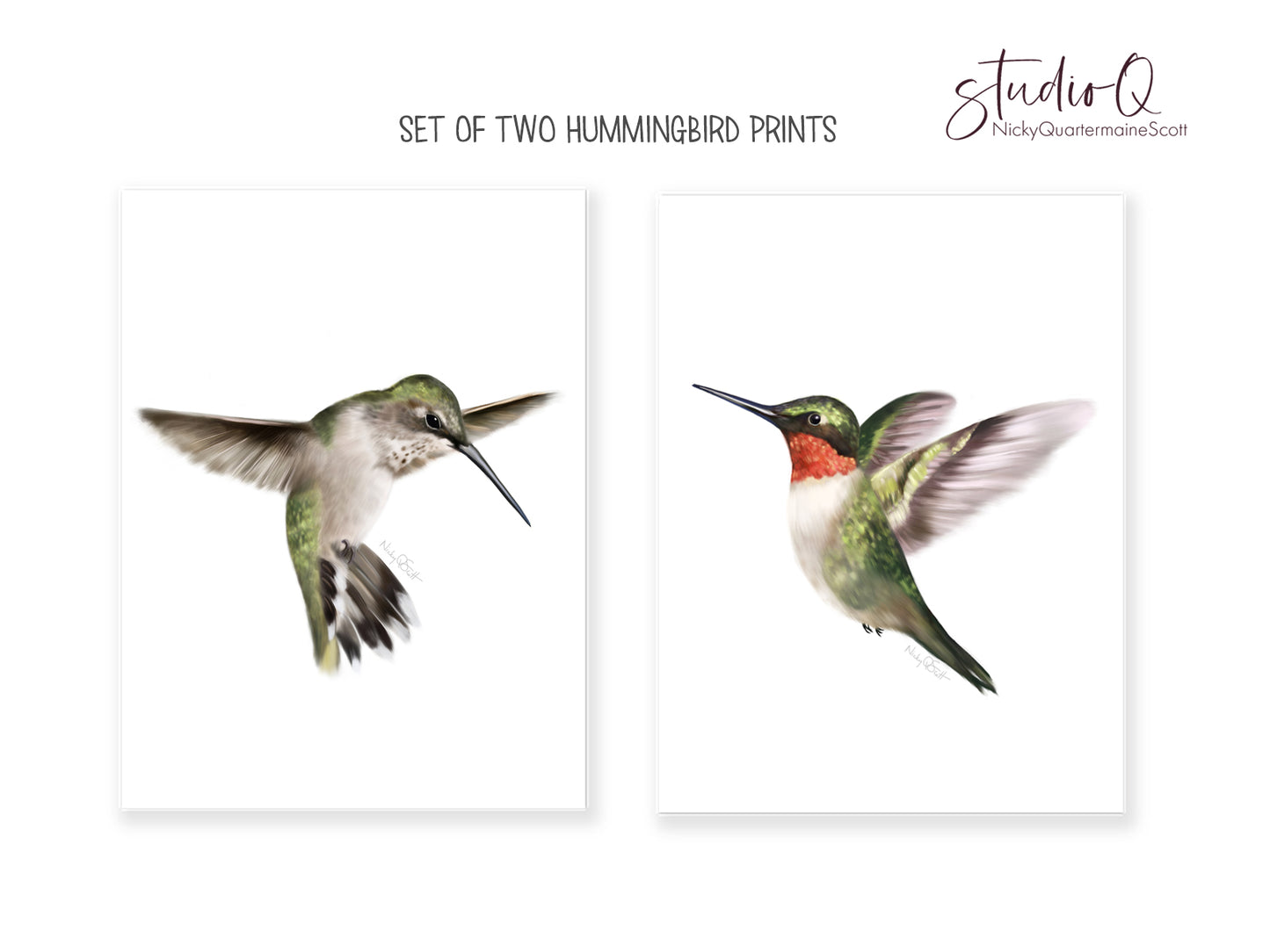 Set of 2 hummingbird art prints on white background in wood frames - Studio Q - Art by Nicky Quartermaine Scott