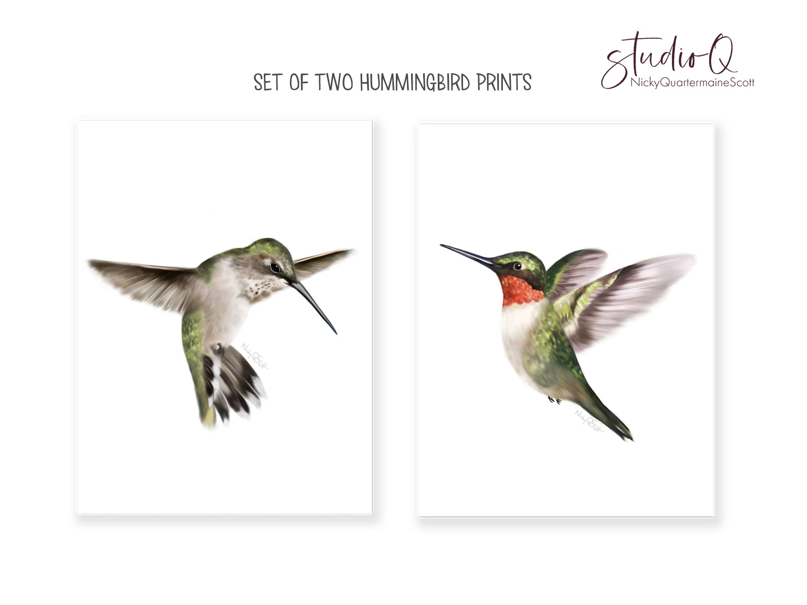 Set of 2 hummingbird art prints on white background in wood frames - Studio Q - Art by Nicky Quartermaine Scott