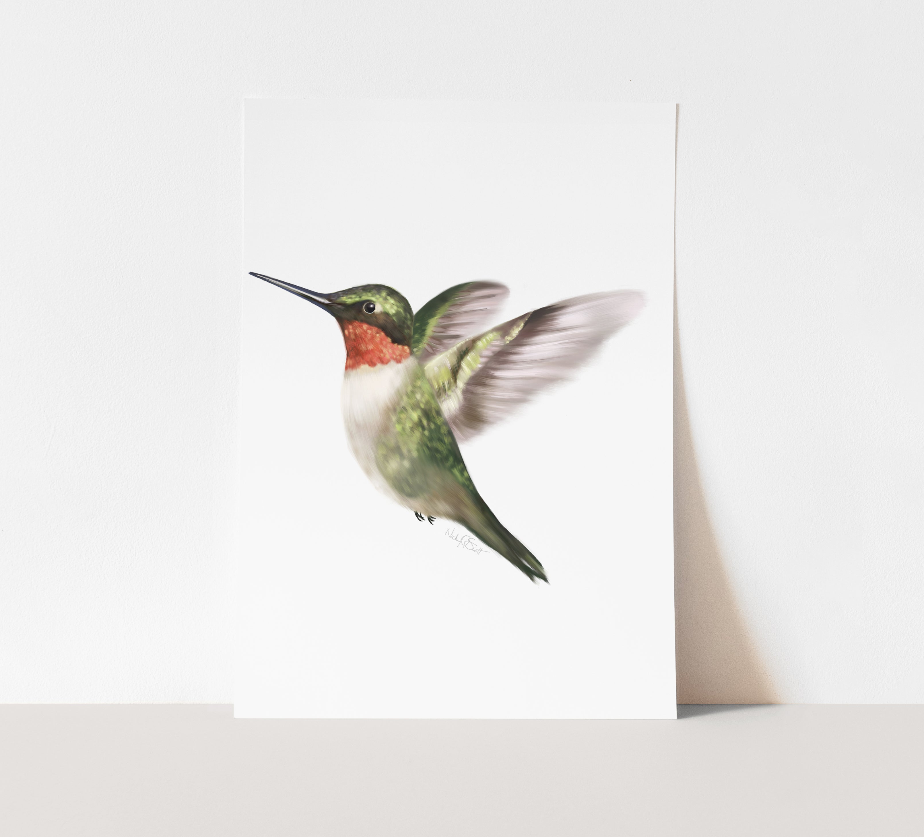 Male_Hummingbird_SHADOW.jpg?v=