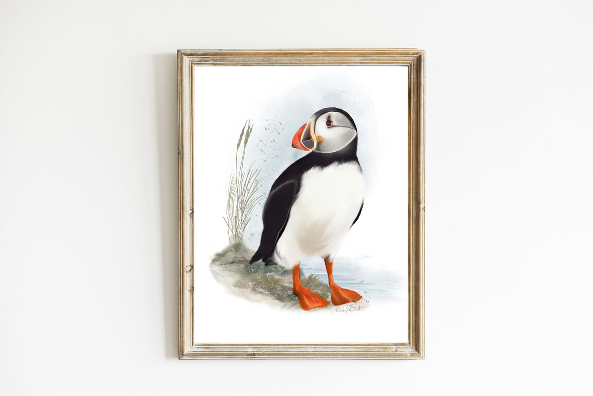 Puffin Art Print