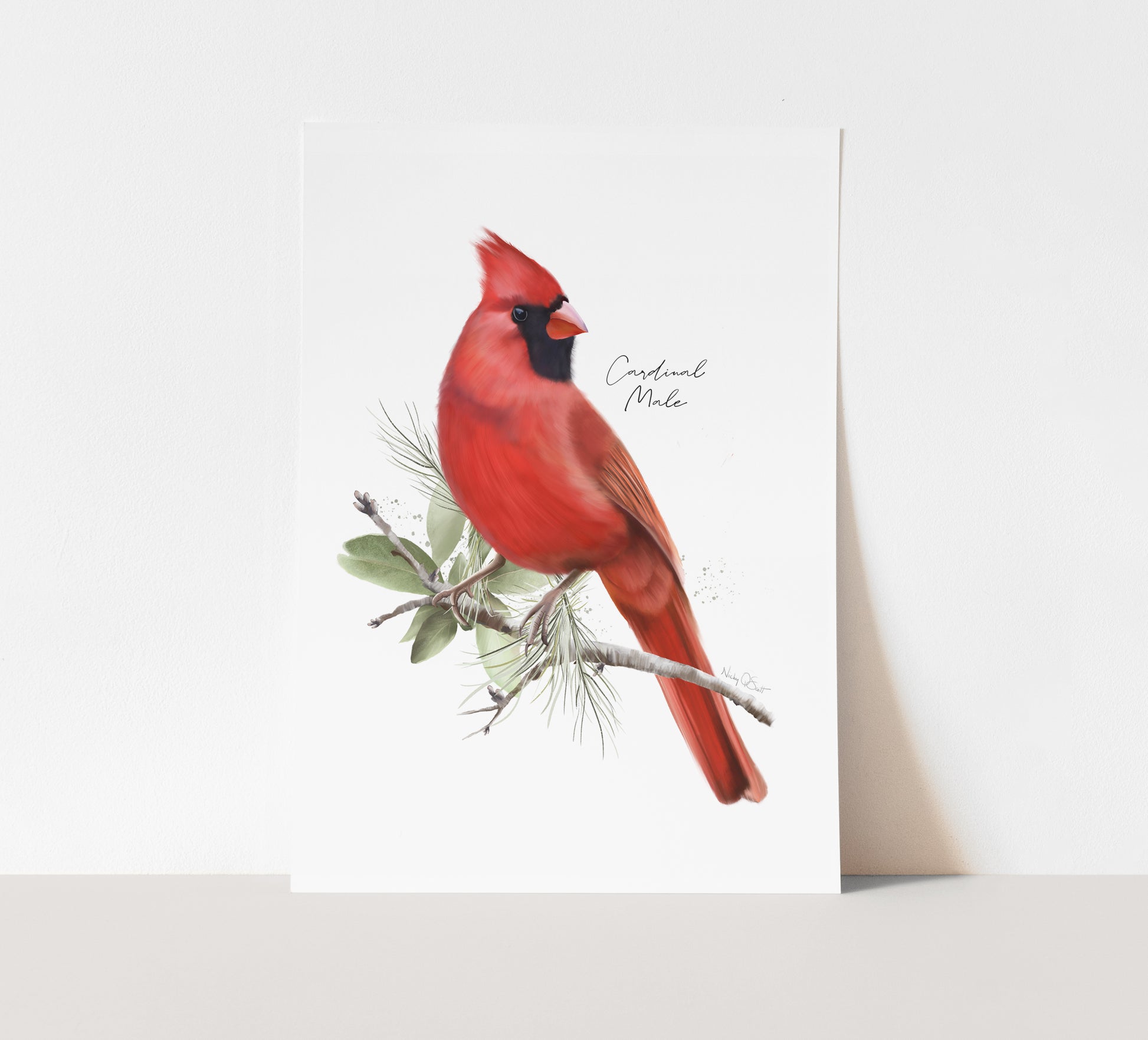 Cardinal bird illustration on a white background