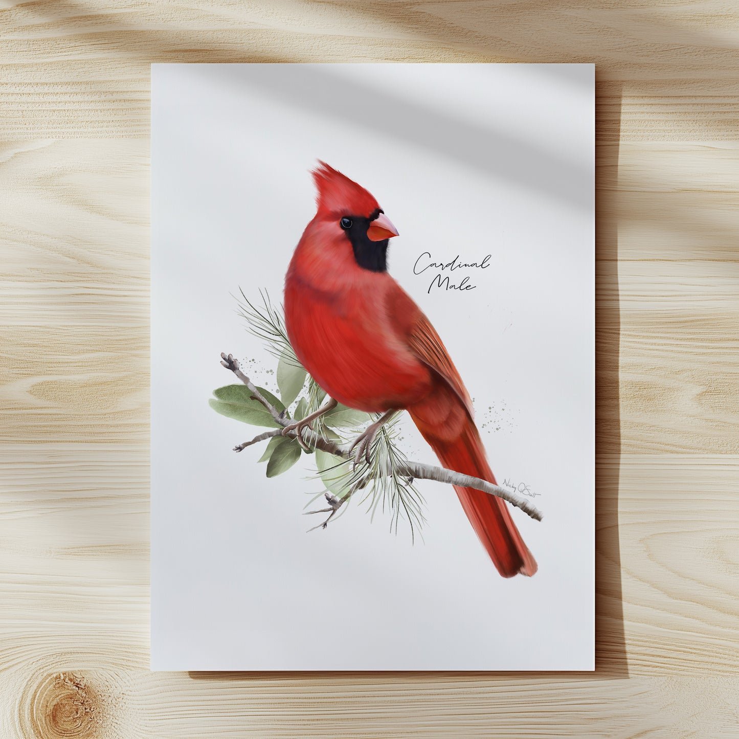 Cardinal bird illustration on white paper with 'Cardinal Male' text, placed on a wooden surface.
